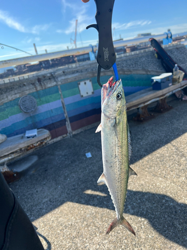 日明海峡釣り公園