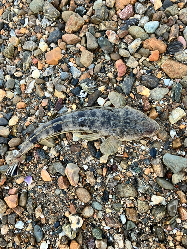 浜名湖