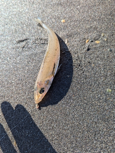 野比海岸