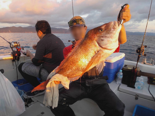 タイの釣果