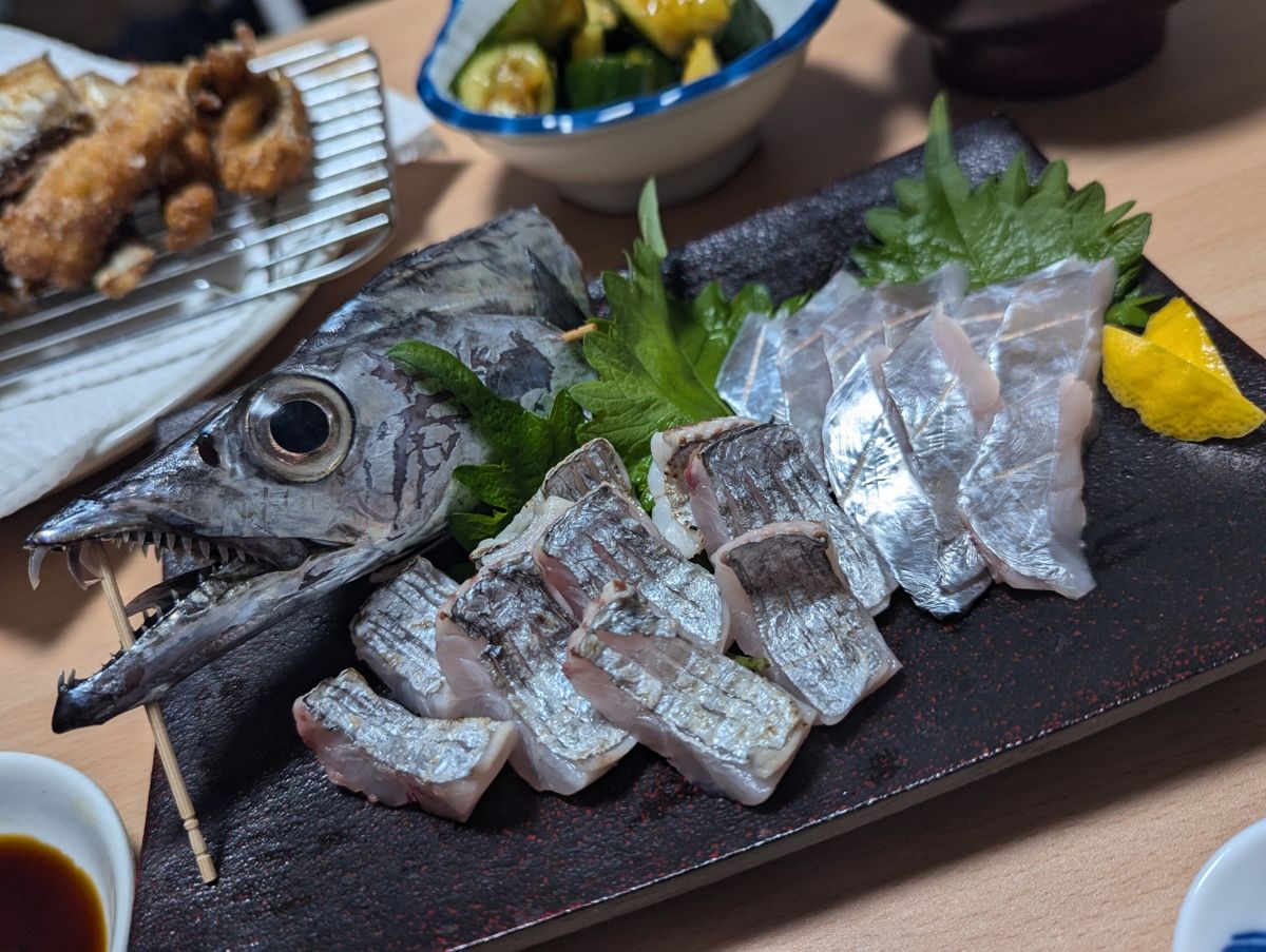 つかちゅうさんの釣果 3枚目の画像