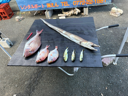 ハモの釣果