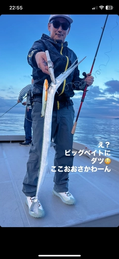 ダツの釣果