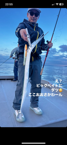 ダツの釣果