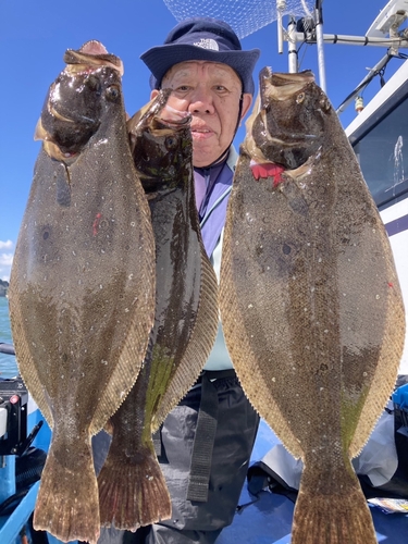 ヒラメの釣果