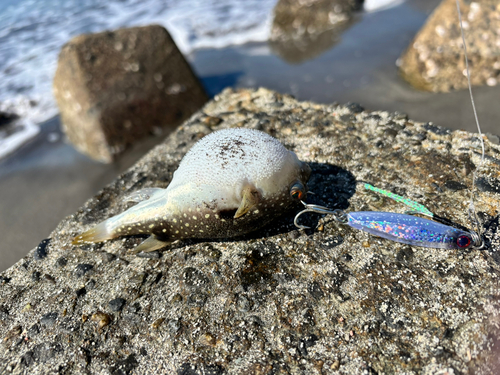 平砂浦海岸