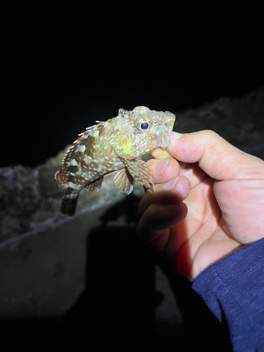 表浜名湖