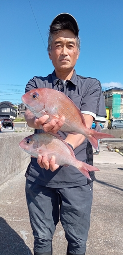 ハナダイの釣果