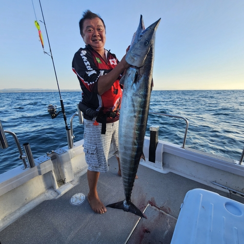 オキサワラの釣果