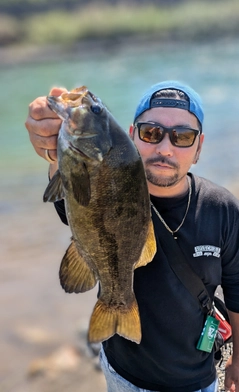 スモールマウスバスの釣果