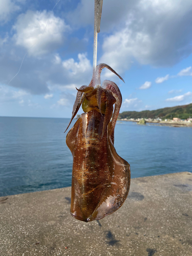 男鹿半島