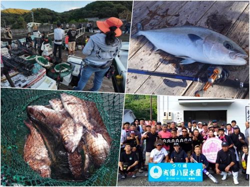 タイの釣果