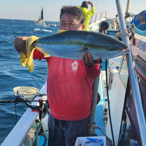 ブリの釣果