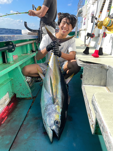 カンパチの釣果