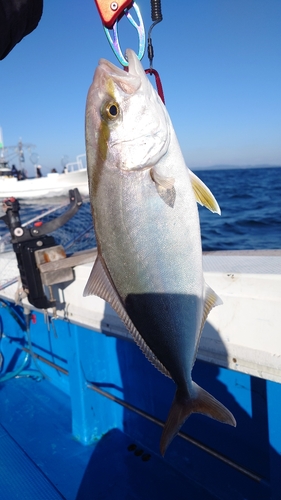 ネリゴの釣果