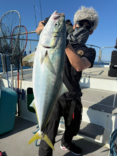 ワラサの釣果