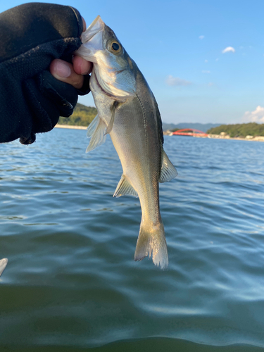 奥浜名湖