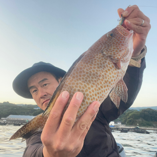 オオモンハタの釣果