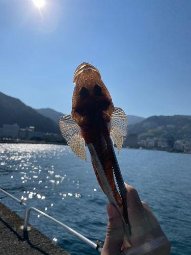 熱海港海釣り施設