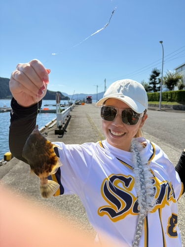 カワハギの釣果