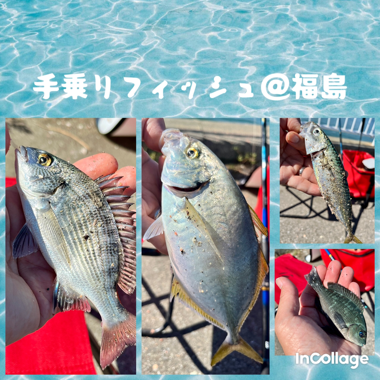 シマアジ