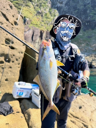 ショゴの釣果