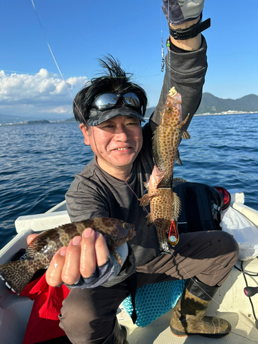 オオモンハタの釣果