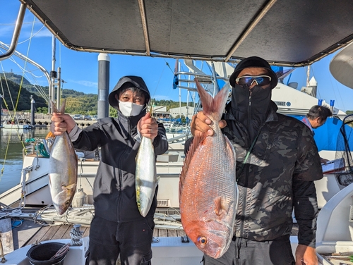 タイの釣果