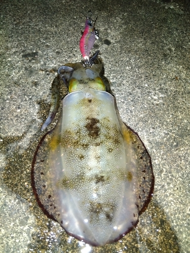 大浜地区ふれあい広場