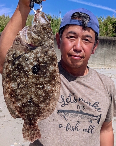 ガンゾウビラメの釣果