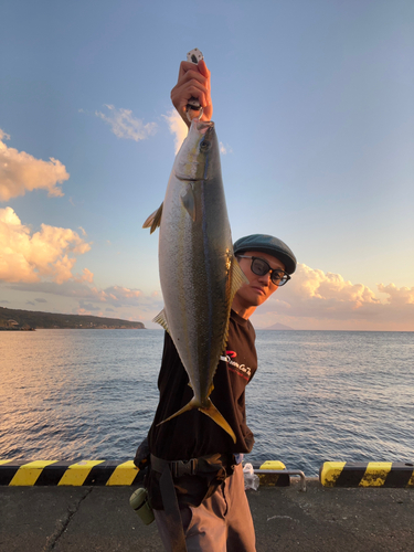 ツムブリの釣果