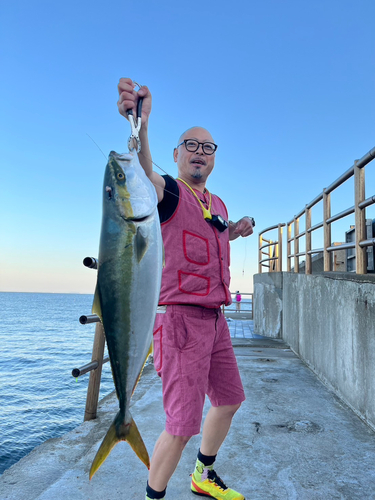 ブリの釣果