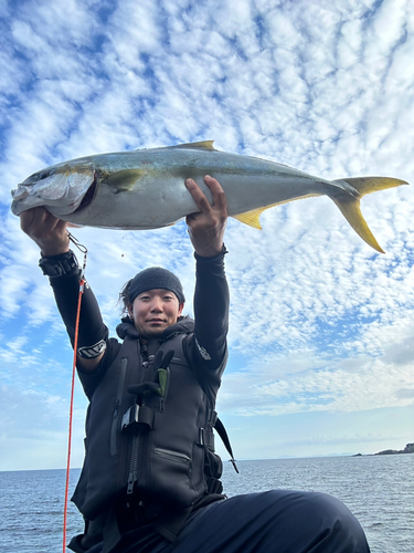 ヒラマサの釣果