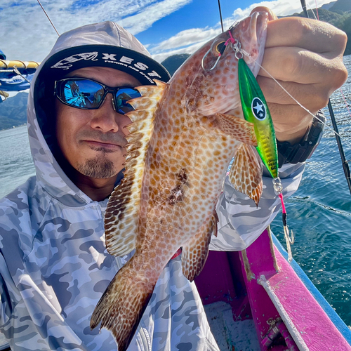 オオモンハタの釣果