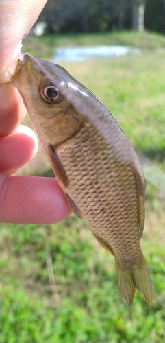 田瀬湖