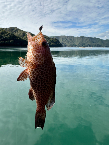 釣果