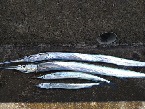 検見川浜突堤