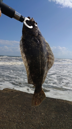 白子海岸