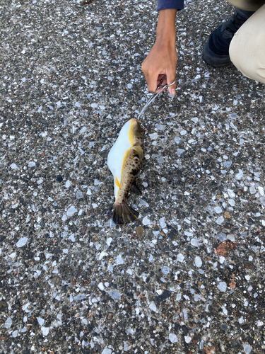 うみかぜ公園付近