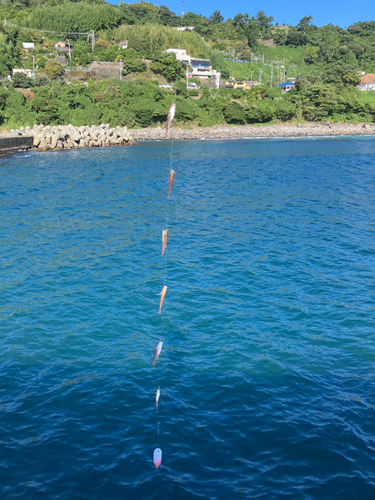 ネンブツダイの釣果