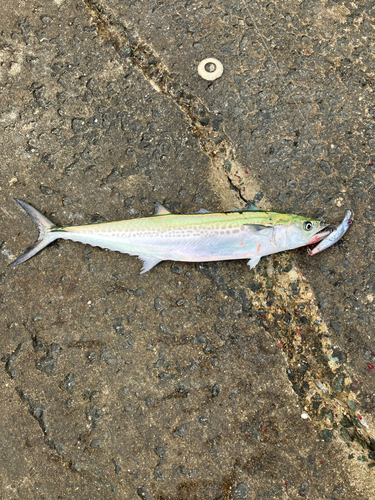 マリナタウン海浜公園