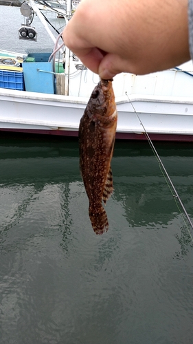 小名浜港アクアマリンふくしま周辺