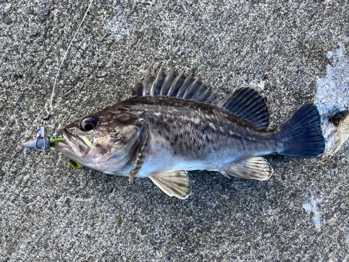 石狩湾新港