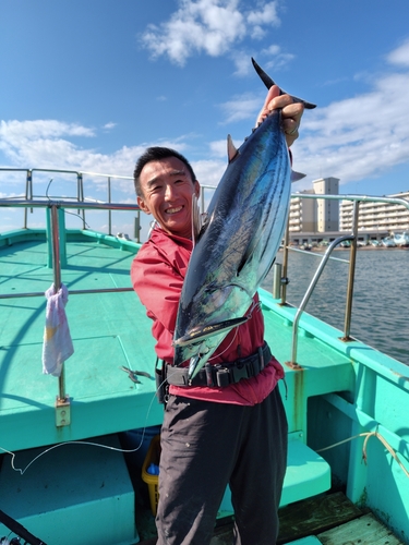 カツオの釣果