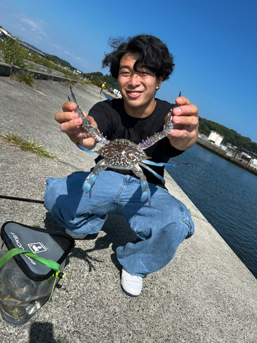 タイワンガザミの釣果