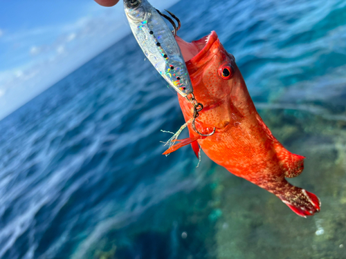 釣果