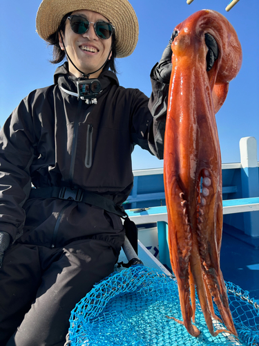 タコの釣果