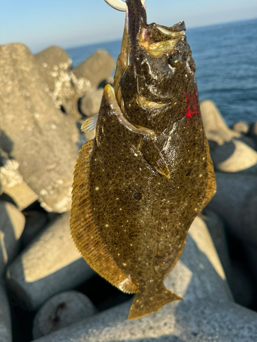 せんなん里海公園