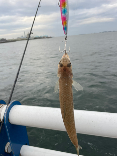 日明海峡釣り公園