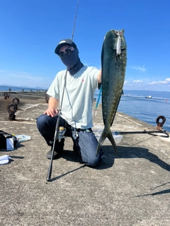 シイラの釣果